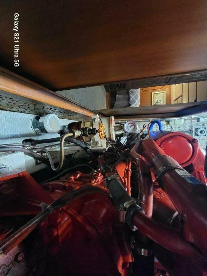 Picure of Delicate Balance