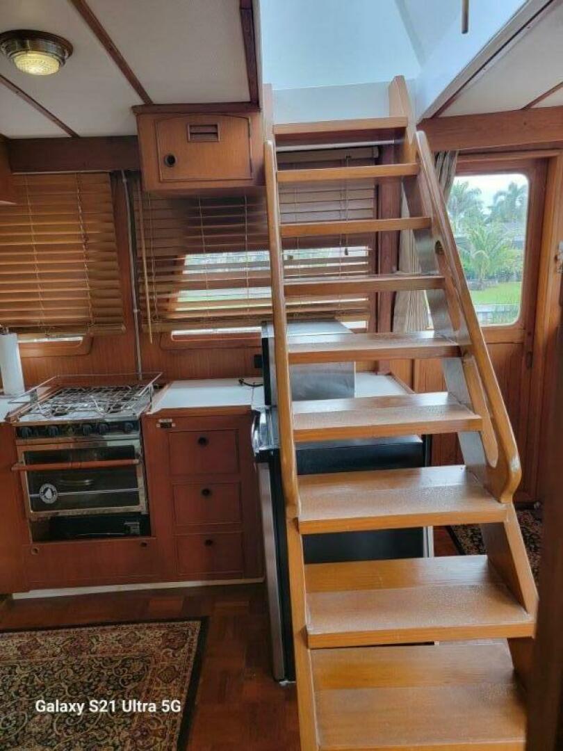 Picure of Delicate Balance