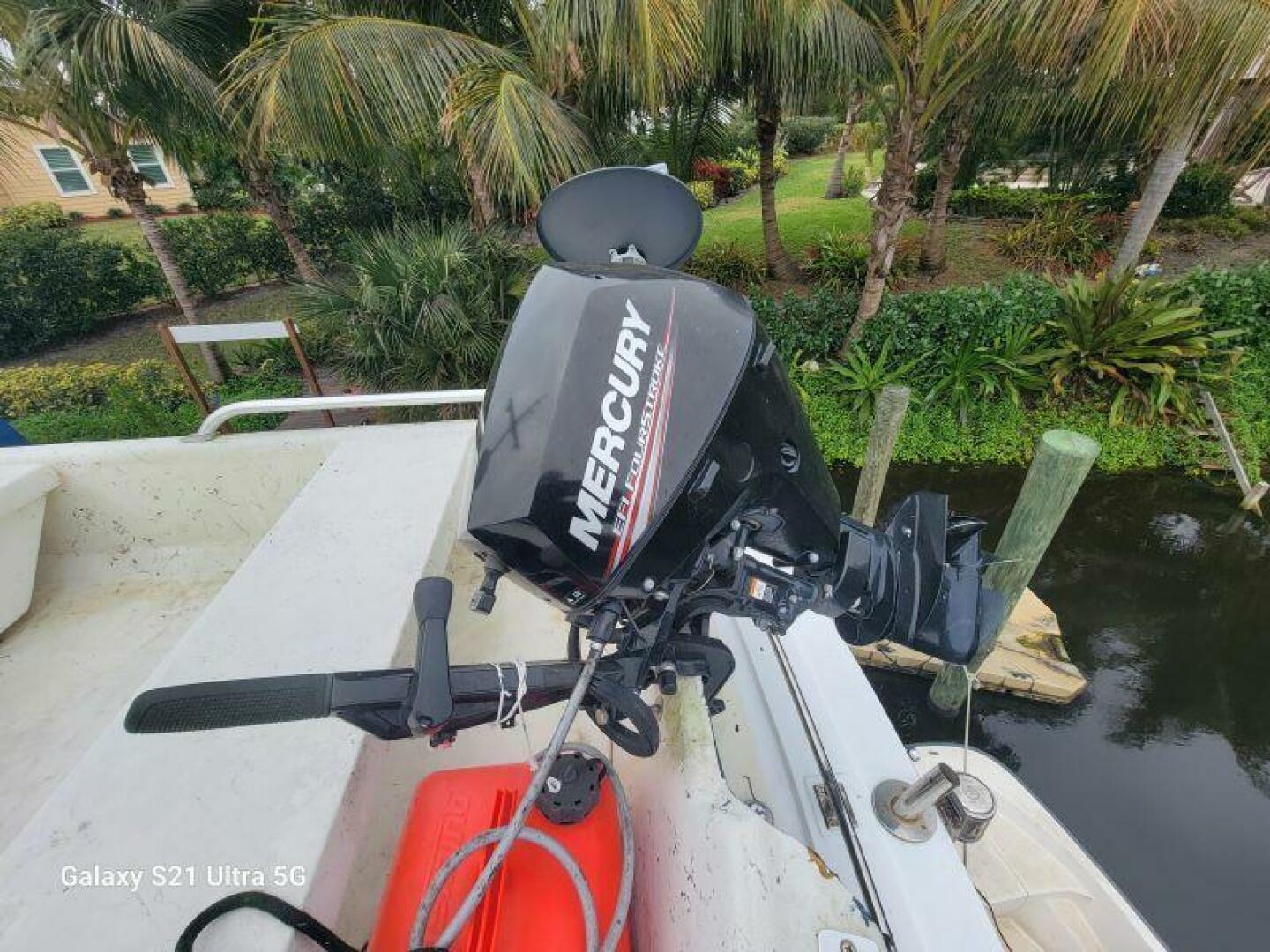 Picure of Delicate Balance