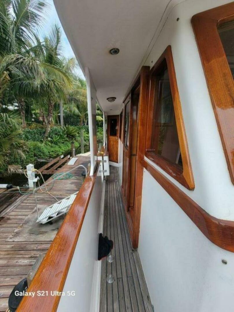 Picure of Delicate Balance