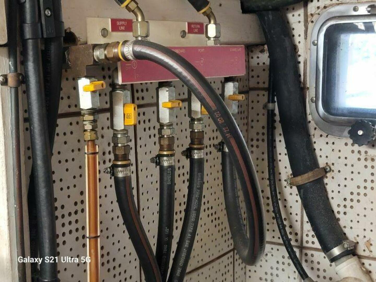 Picure of Delicate Balance