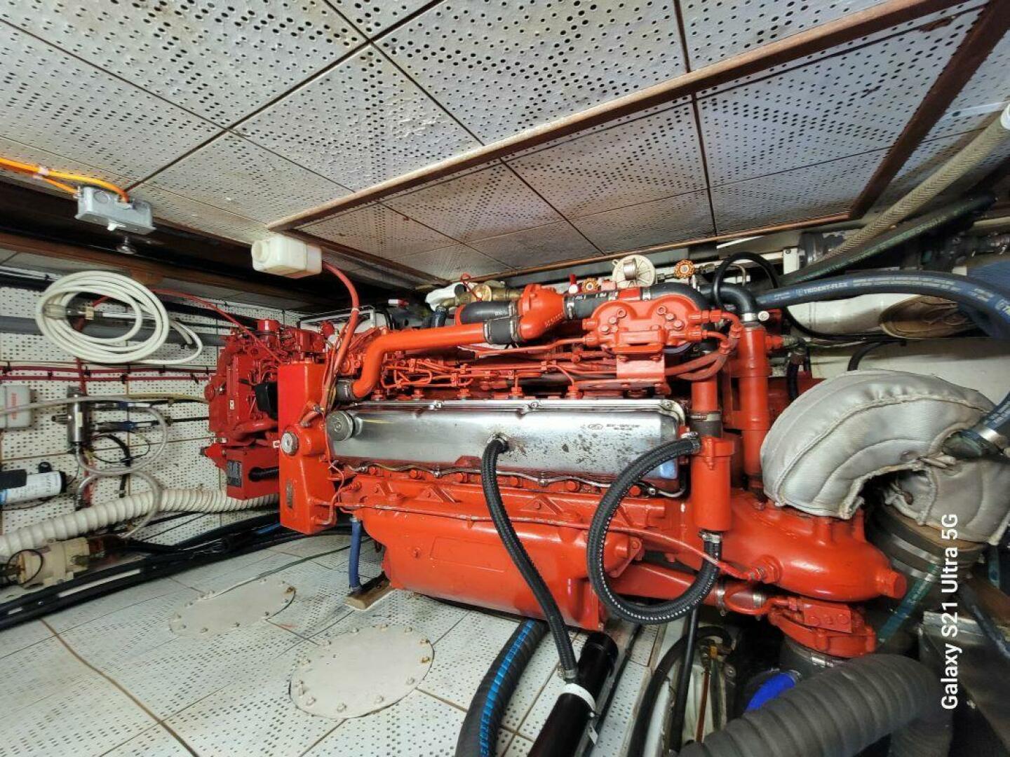 Picure of Delicate Balance