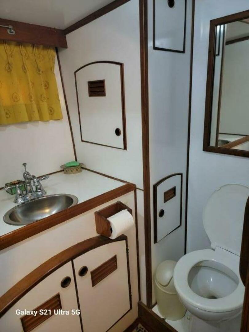 Picure of Delicate Balance