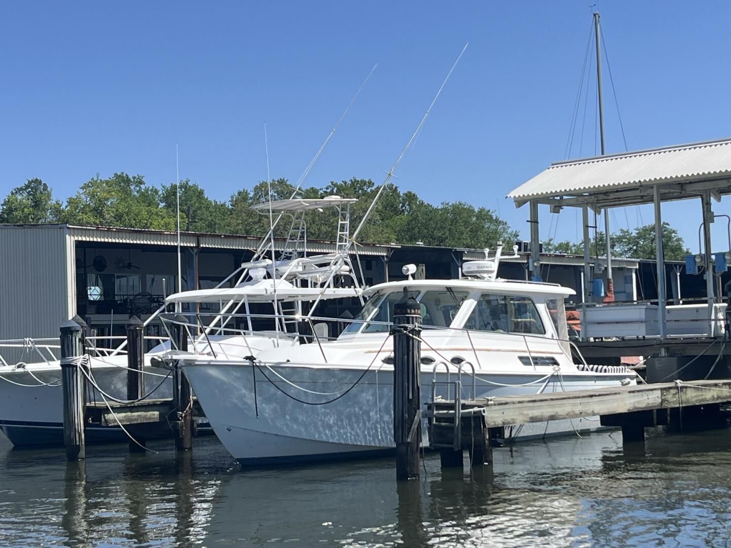 Back Cove 34