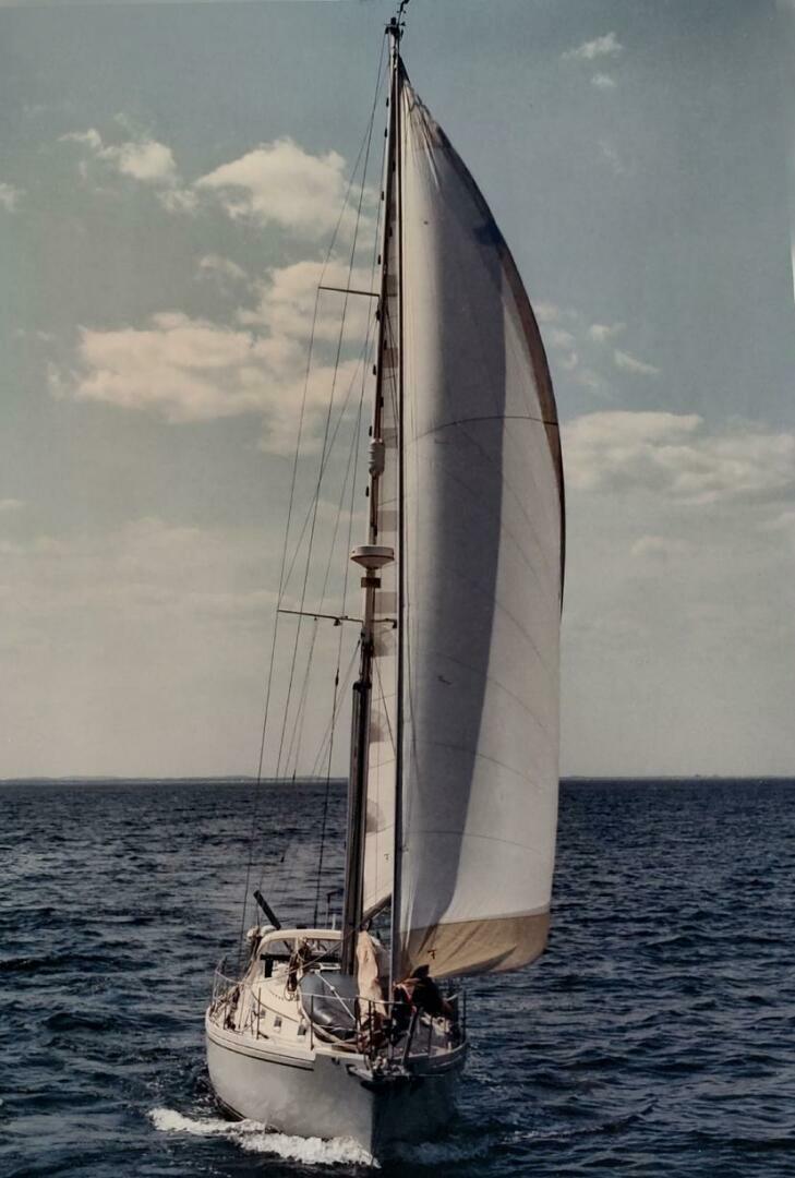 Vessel Image #50