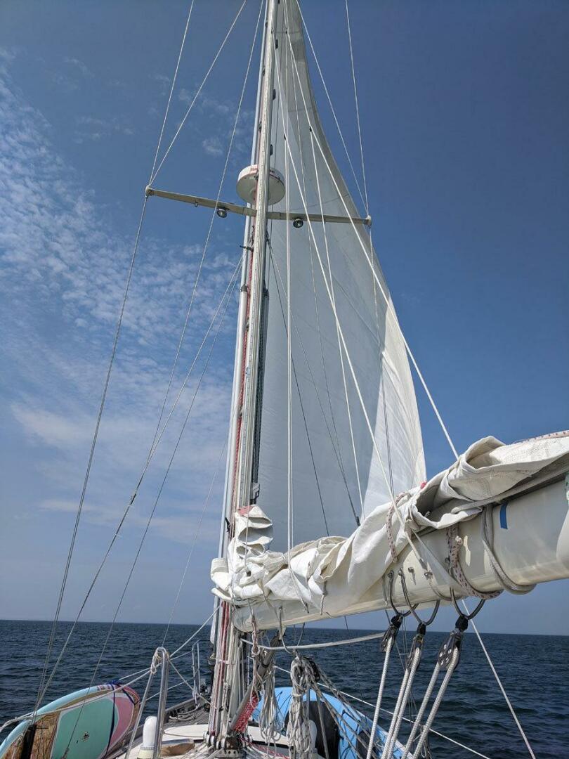 Vessel Image #61