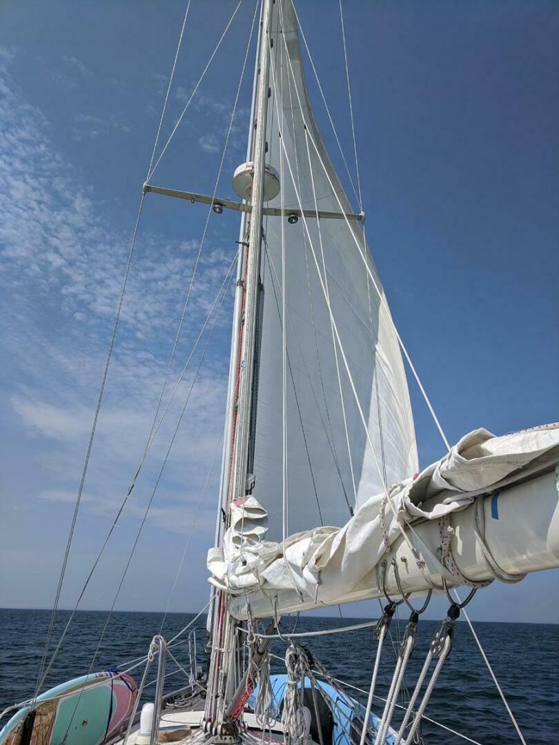 Vessel Image #56