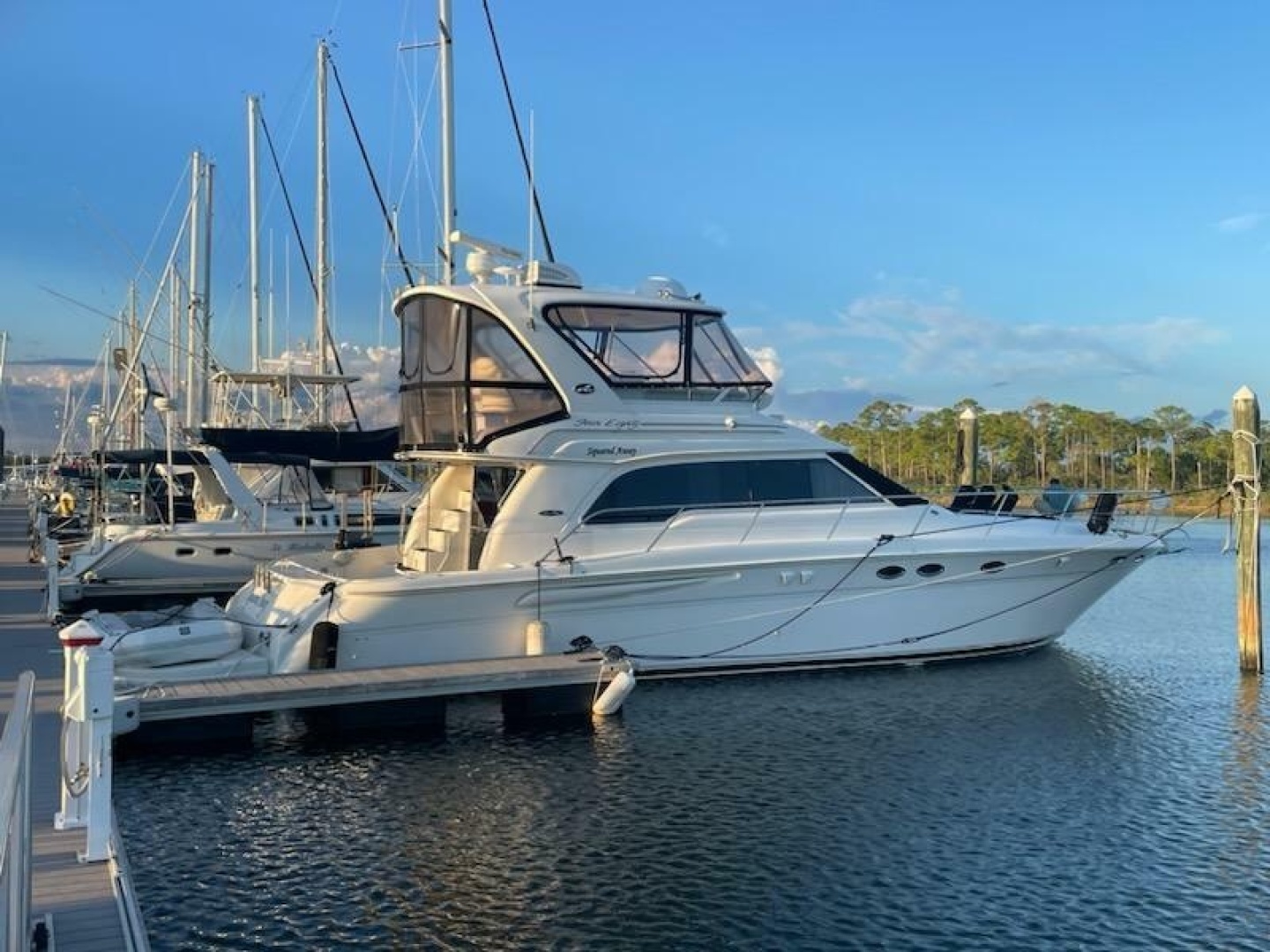 2003 Sea Ray 480 Sedan Bridge