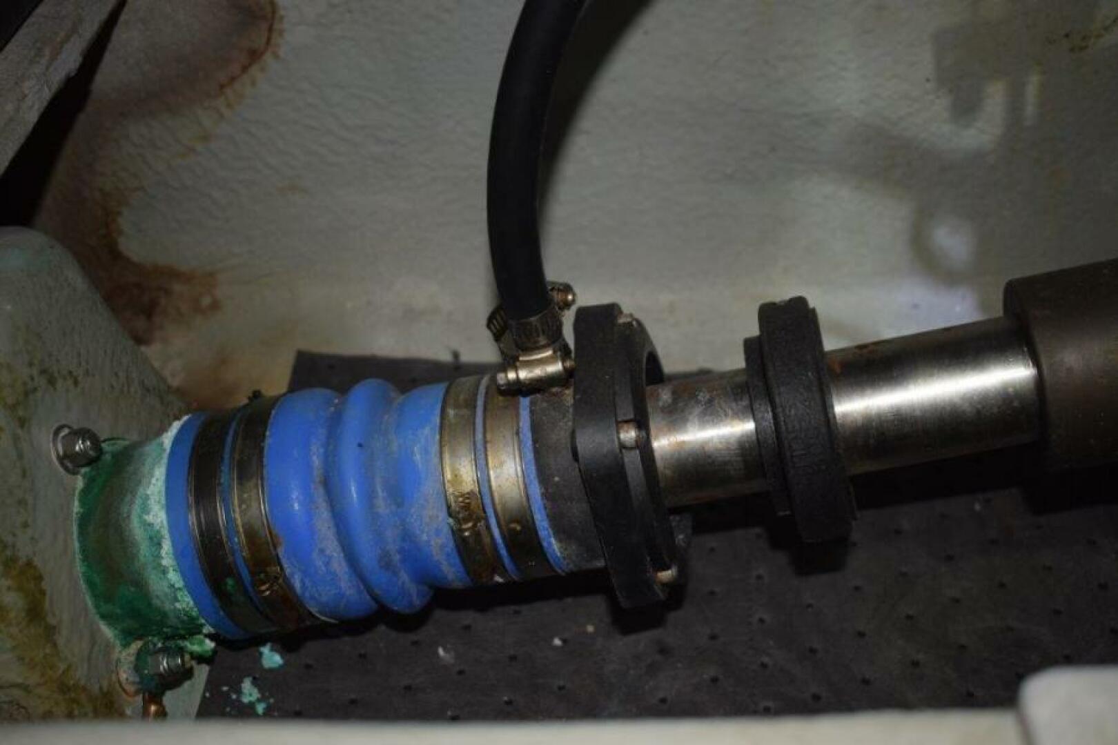 Picure of Tee Bee Dee