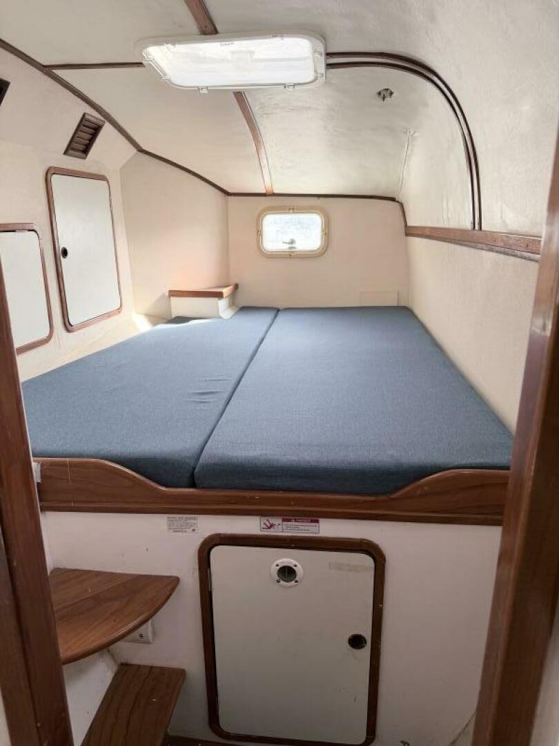 Ali Kat 35ft Wildcat Yacht For Sale