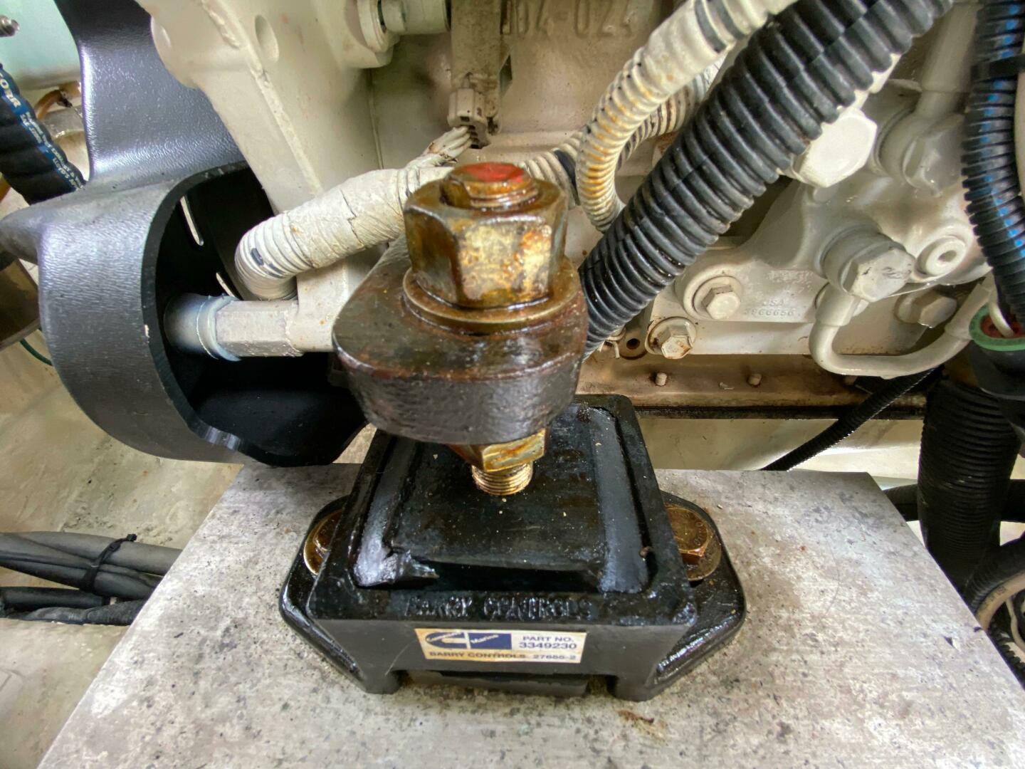 Picure of Tropical High