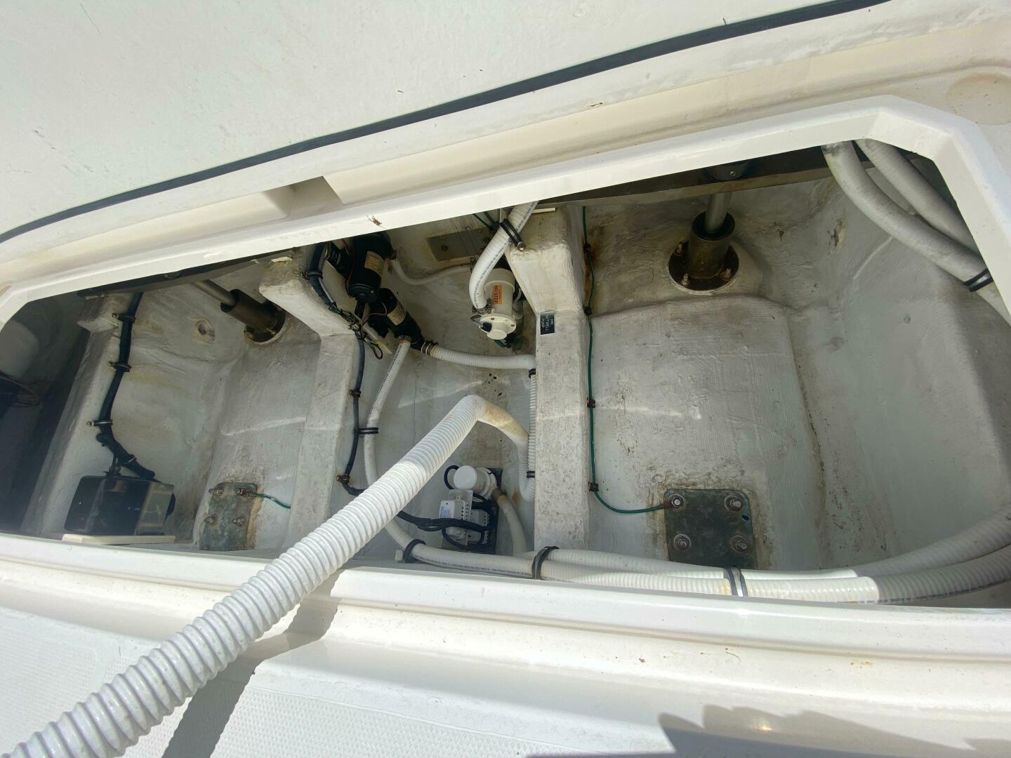 Picure of Tropical High