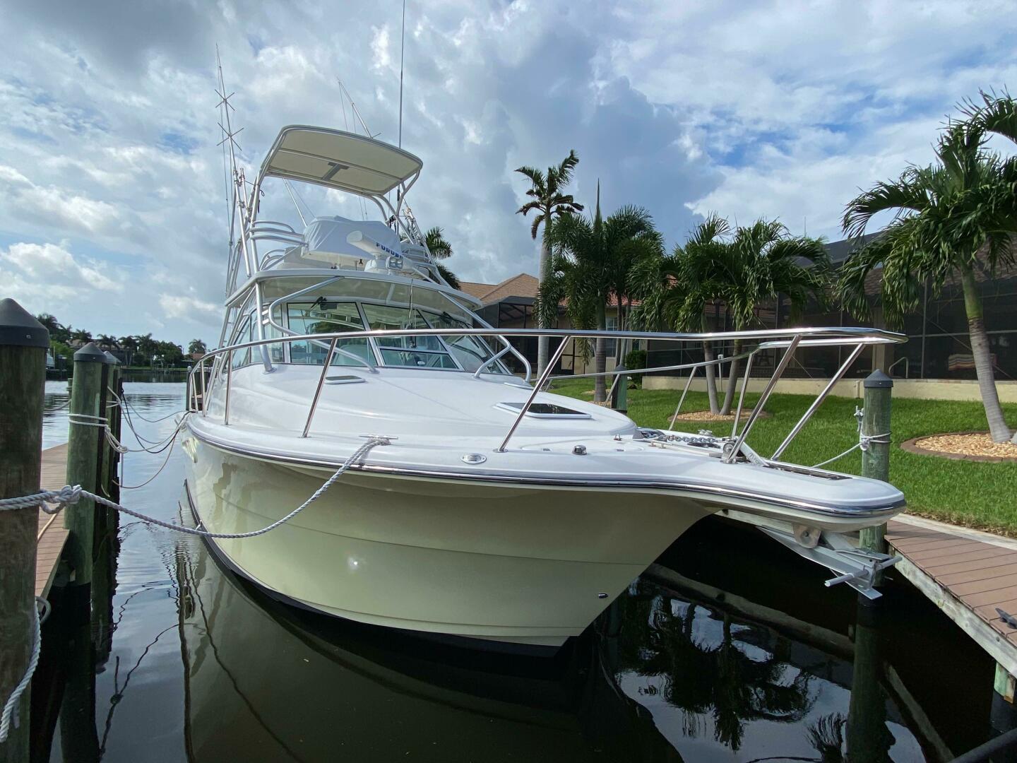 Picture of Tropical High