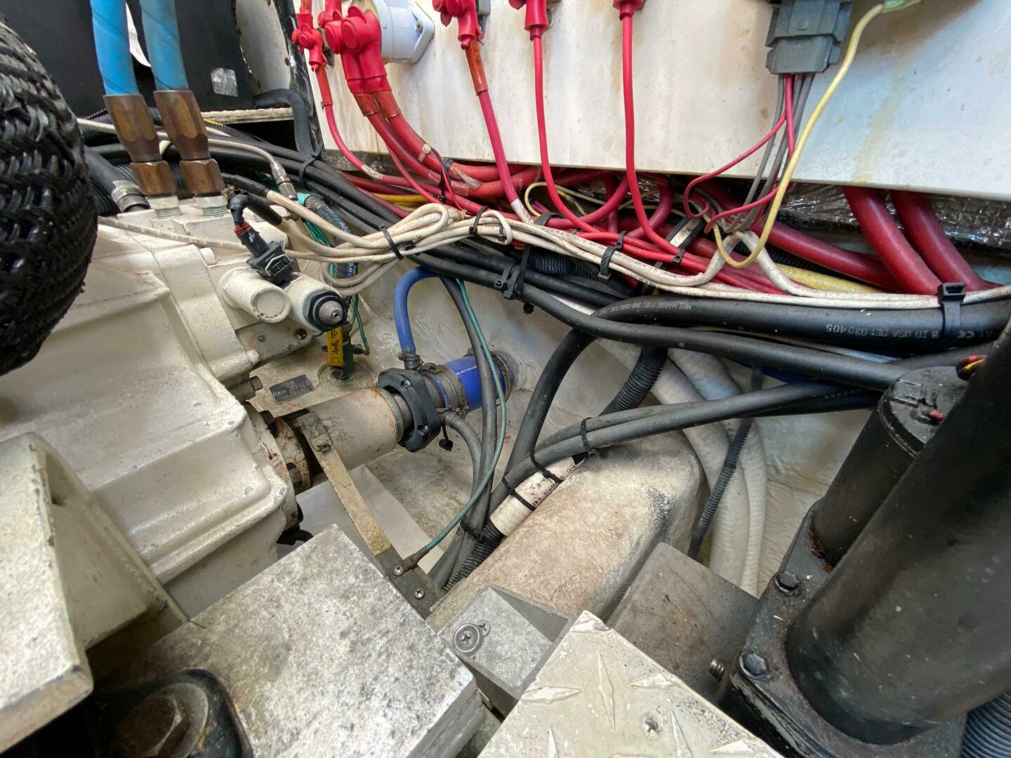 Picure of Tropical High