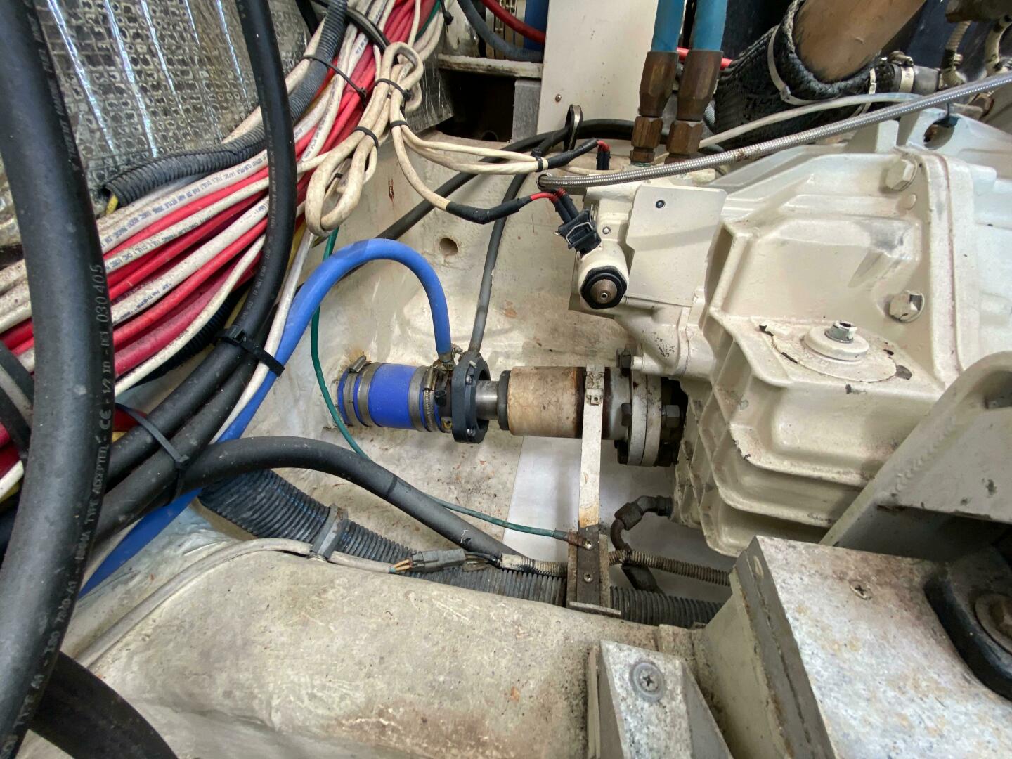 Picure of Tropical High