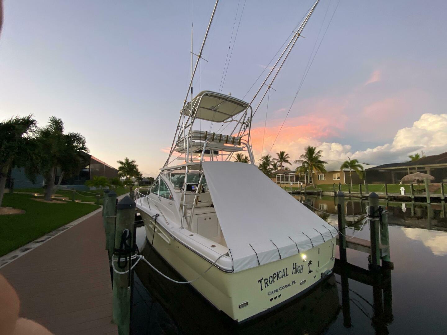 Picure of Tropical High