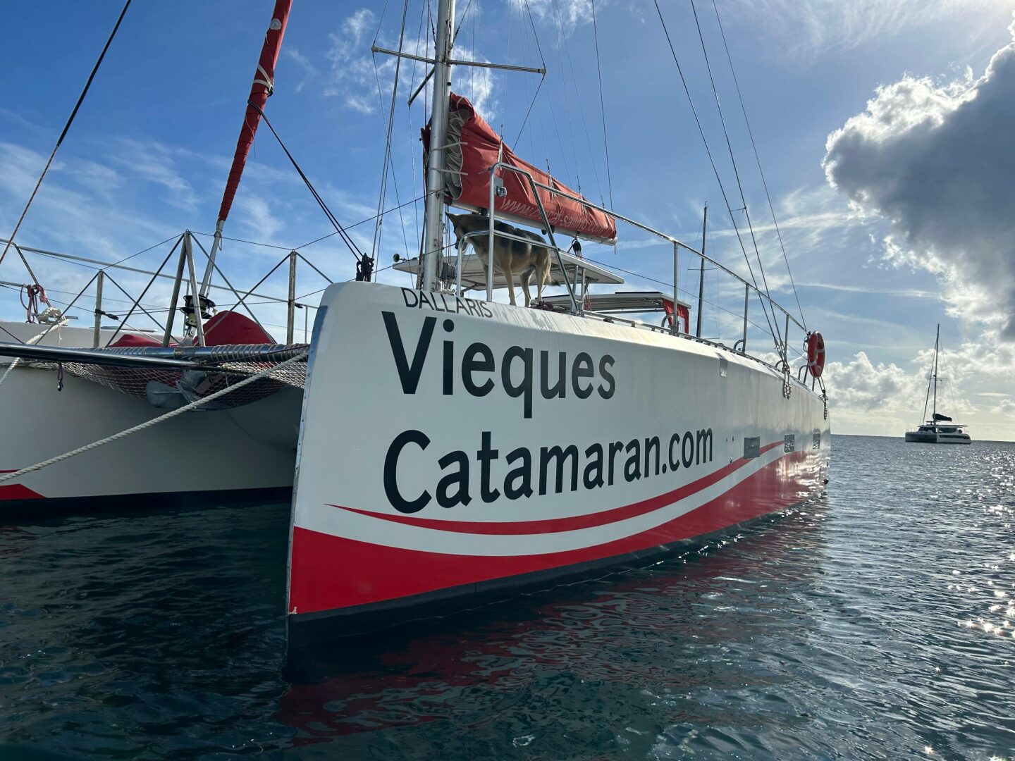 37ft Custom Yacht For Sale