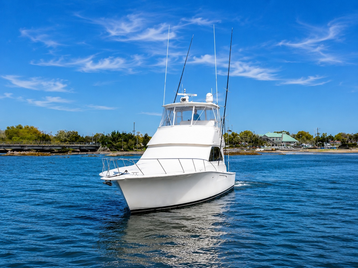 Viking 45 Convertible — CLEAN LIVIN’ - Photo 2