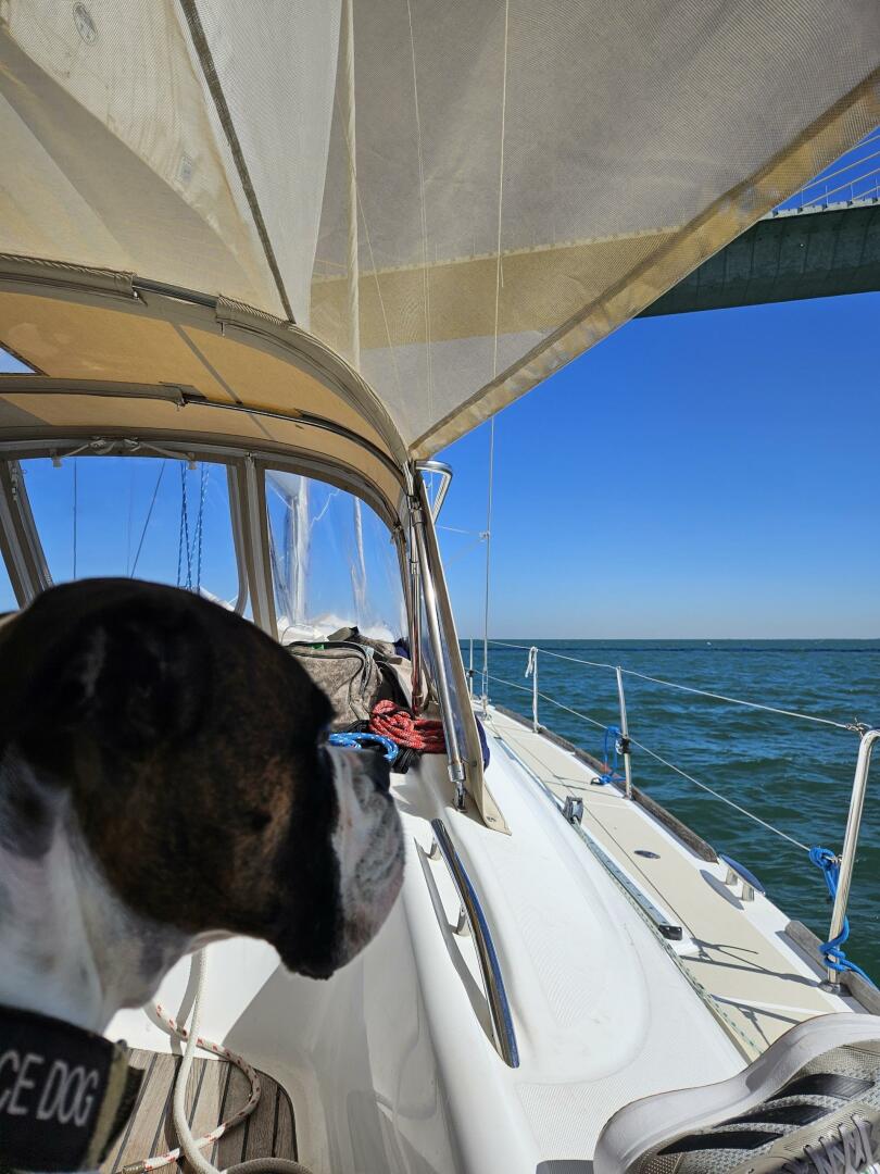 Athena 49ft Beneteau Yacht For Sale