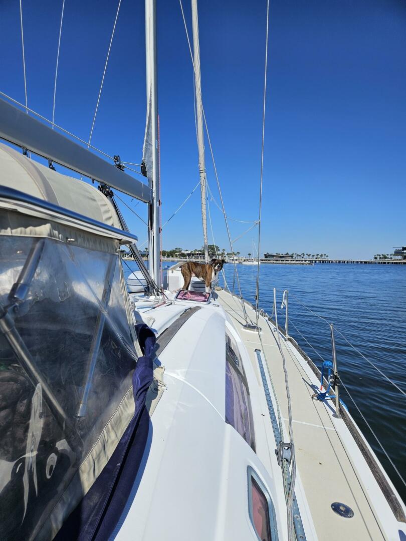 Athena 49ft Beneteau Yacht For Sale