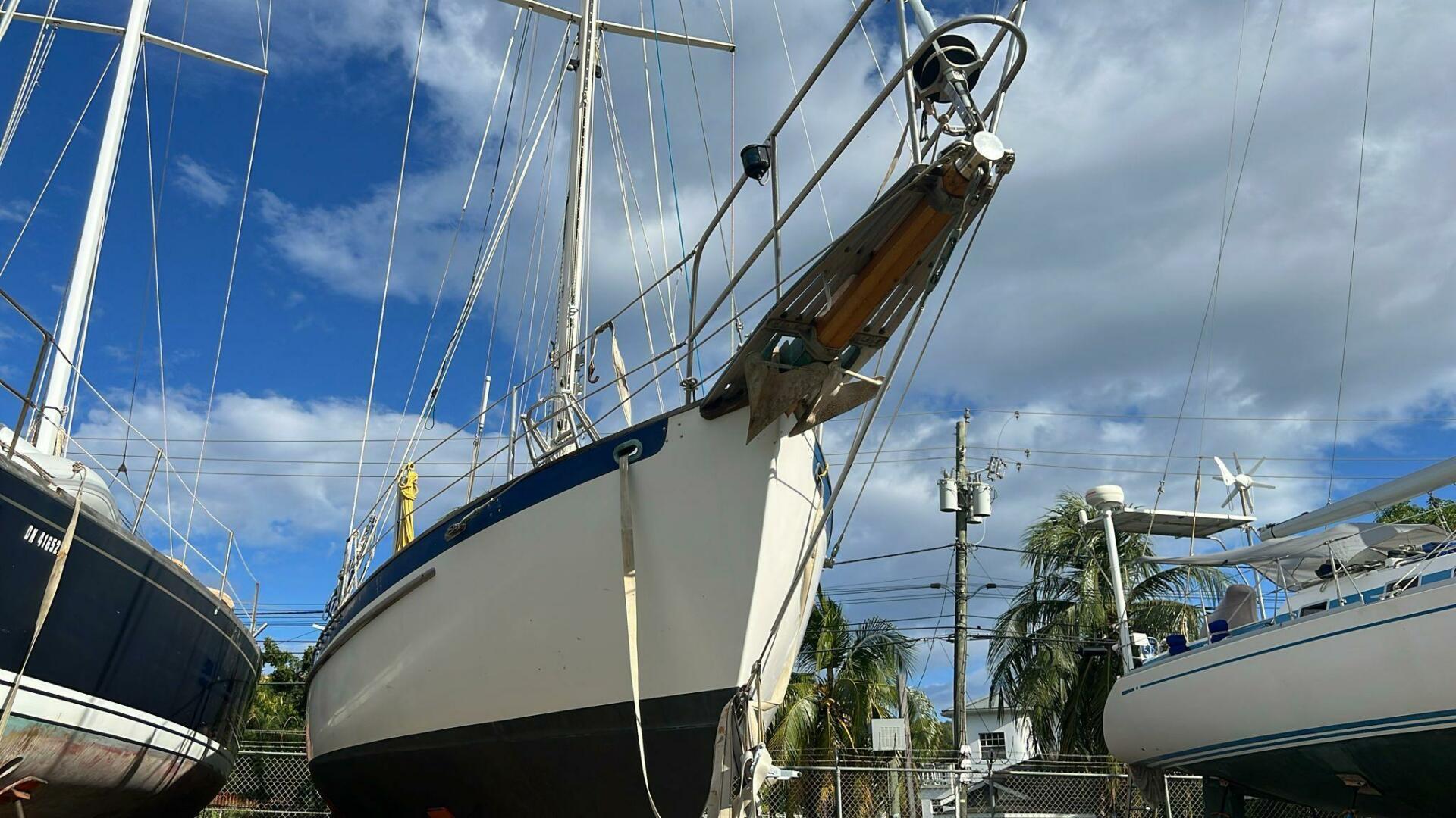 Vessel Image #4