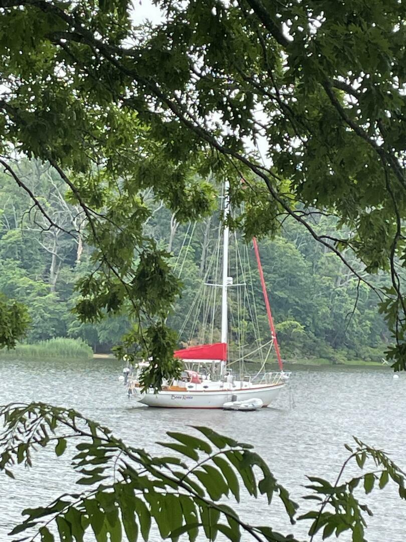 Bees Knees 45ft Creekmore Yacht For Sale