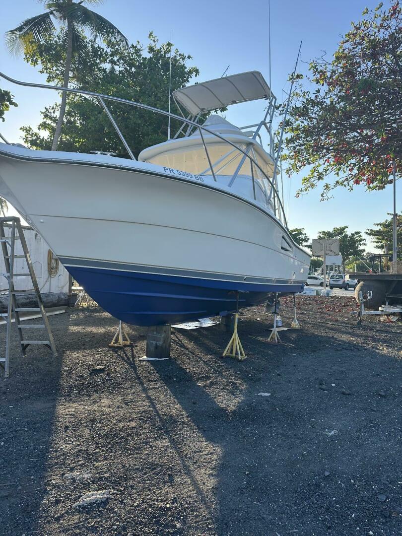 Primo 29ft Pursuit Yacht For Sale