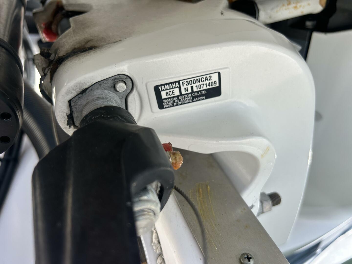 2020 Regal 33 XO 'Snuffleupagus'-Motor 
