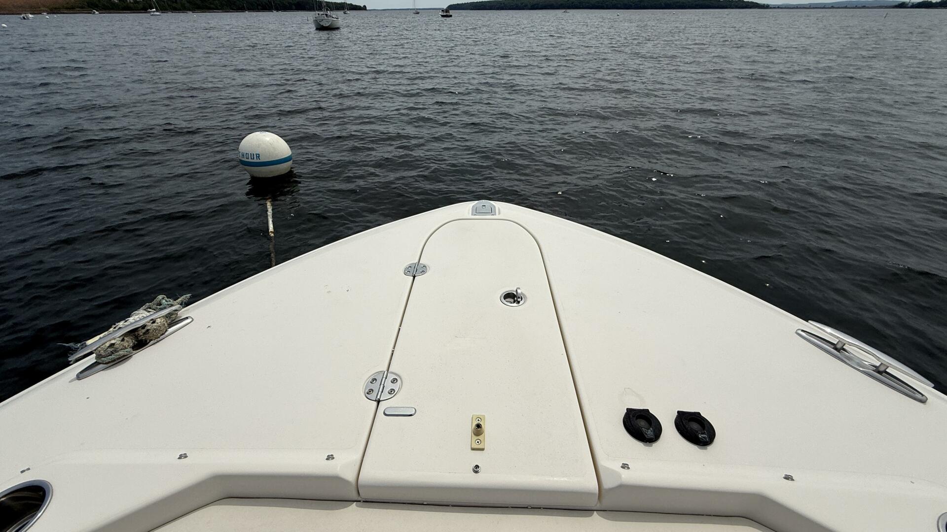 Aletha P LLC 30ft Grady White Yacht For Sale