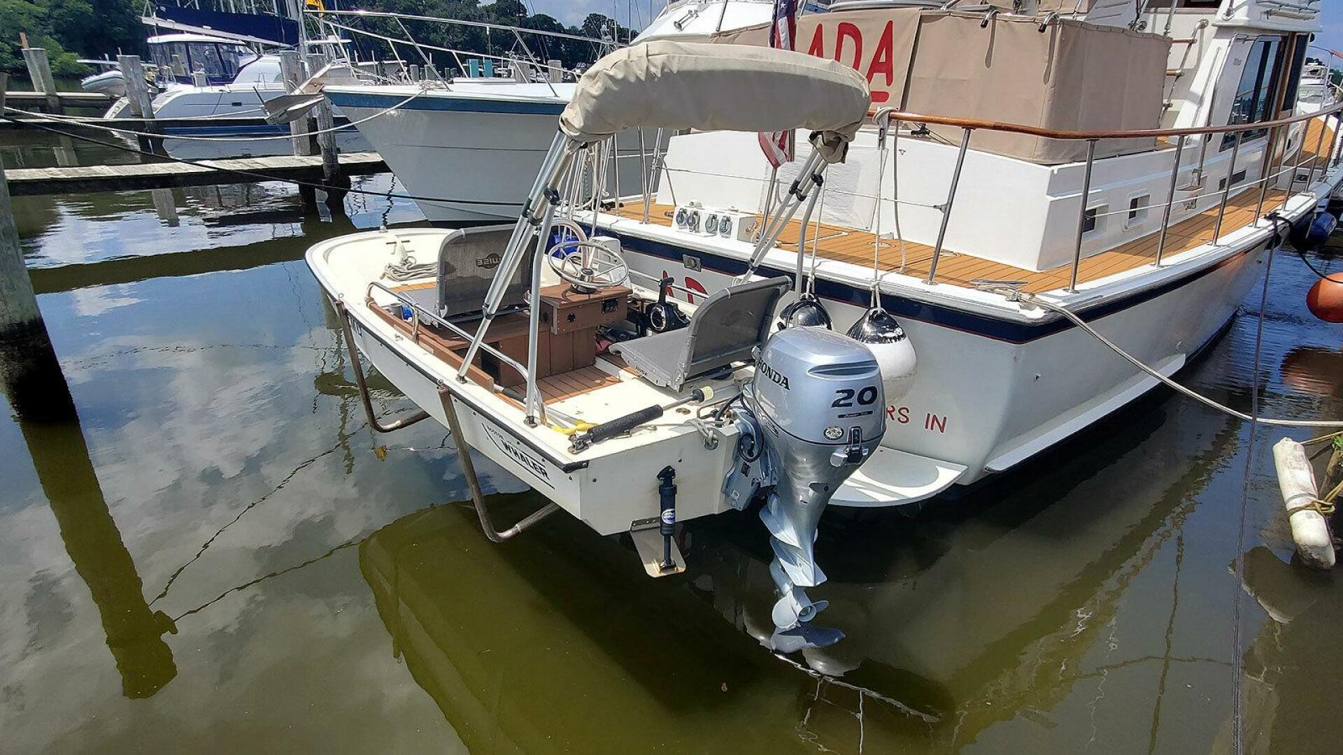 Tender Stern