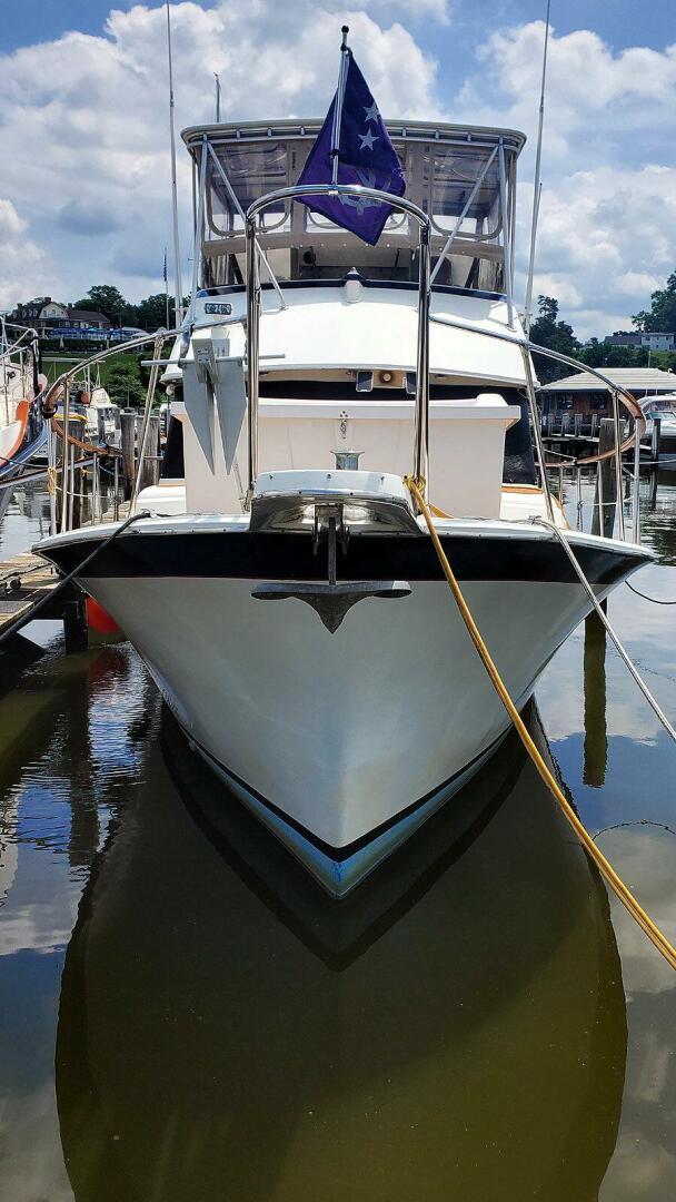 Bow Profile