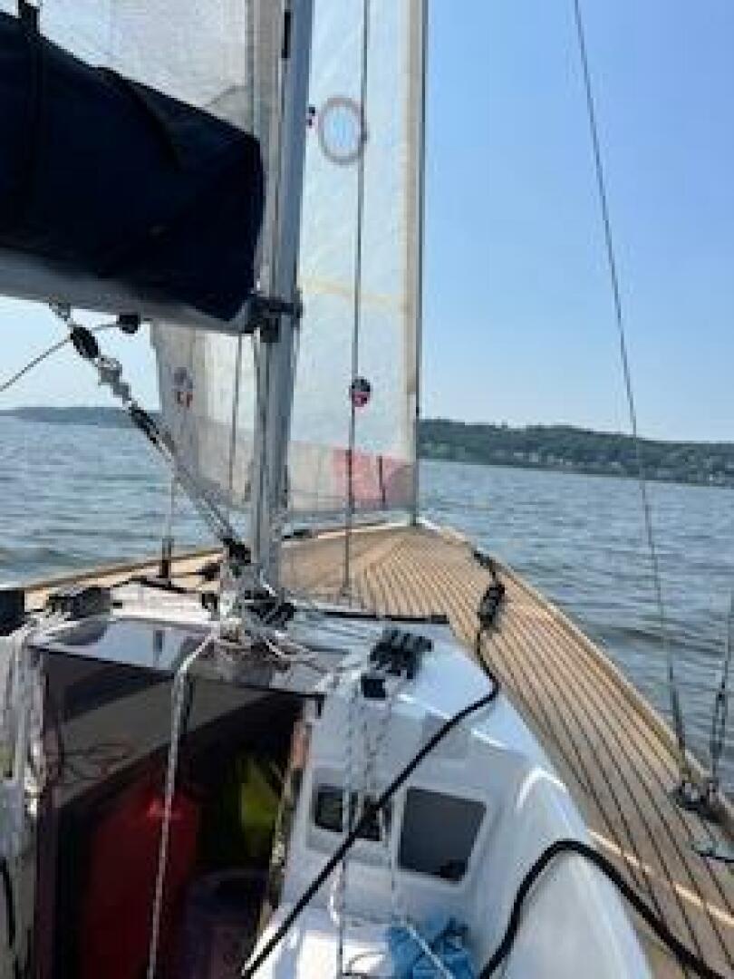 Vessel Image #15