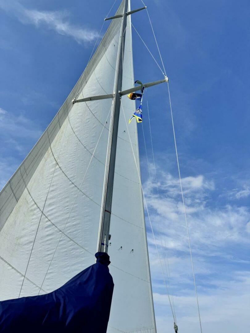 Vessel Image #12