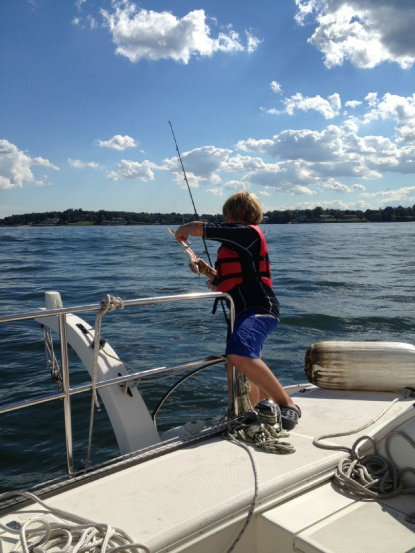 Used Sail Catamaran for sale