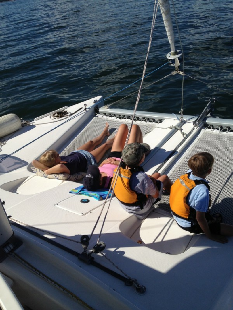 Used Sail Catamaran for sale