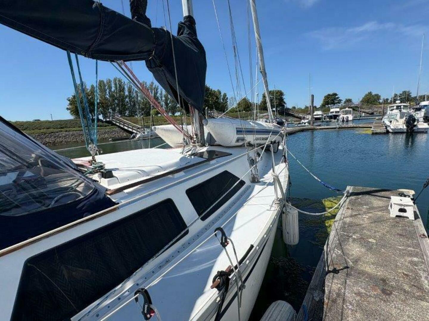 Vessel Image #8