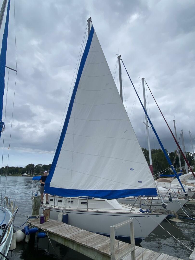 Vessel Image #18