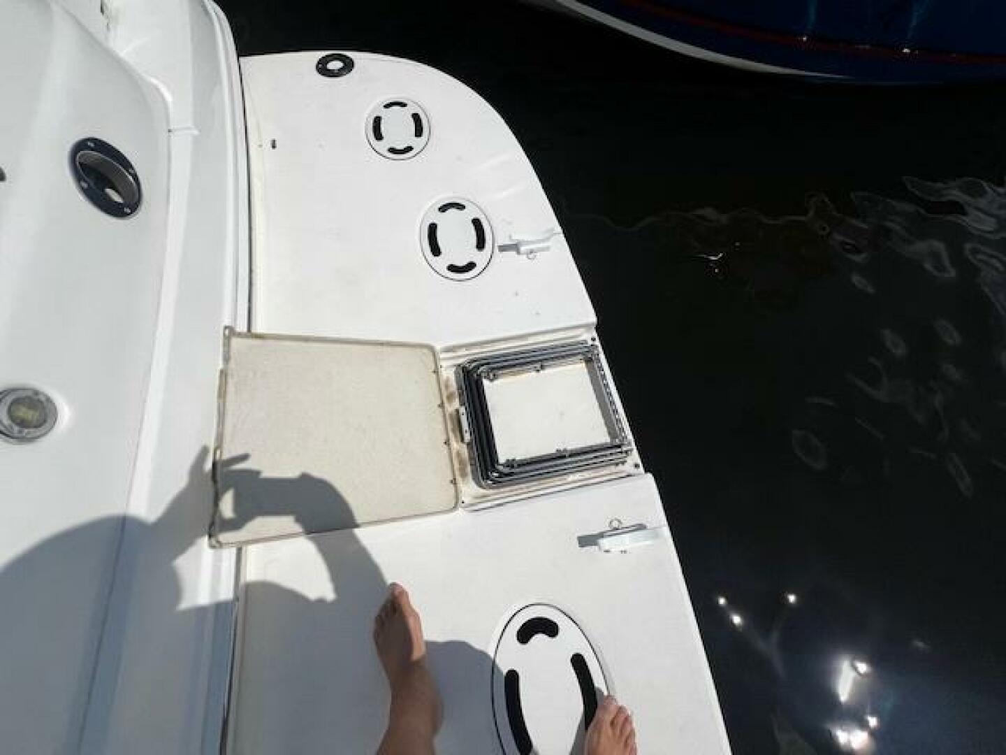 410 swim ladder
