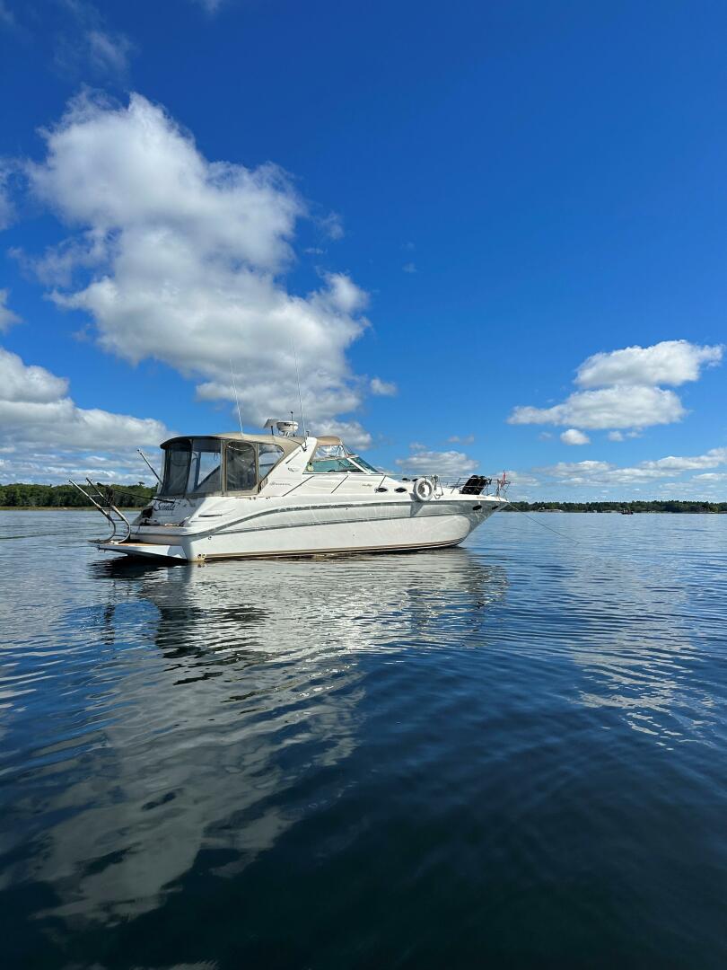 37ft Sea Ray Yacht For Sale