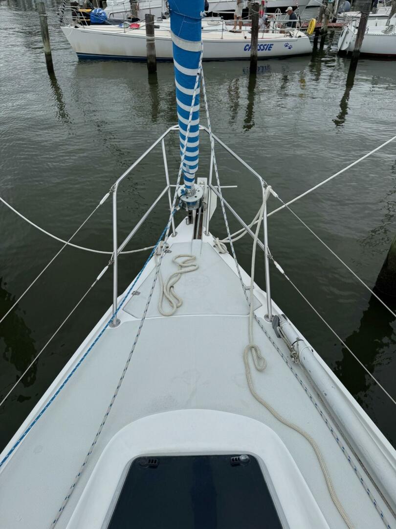 Vessel Image #5