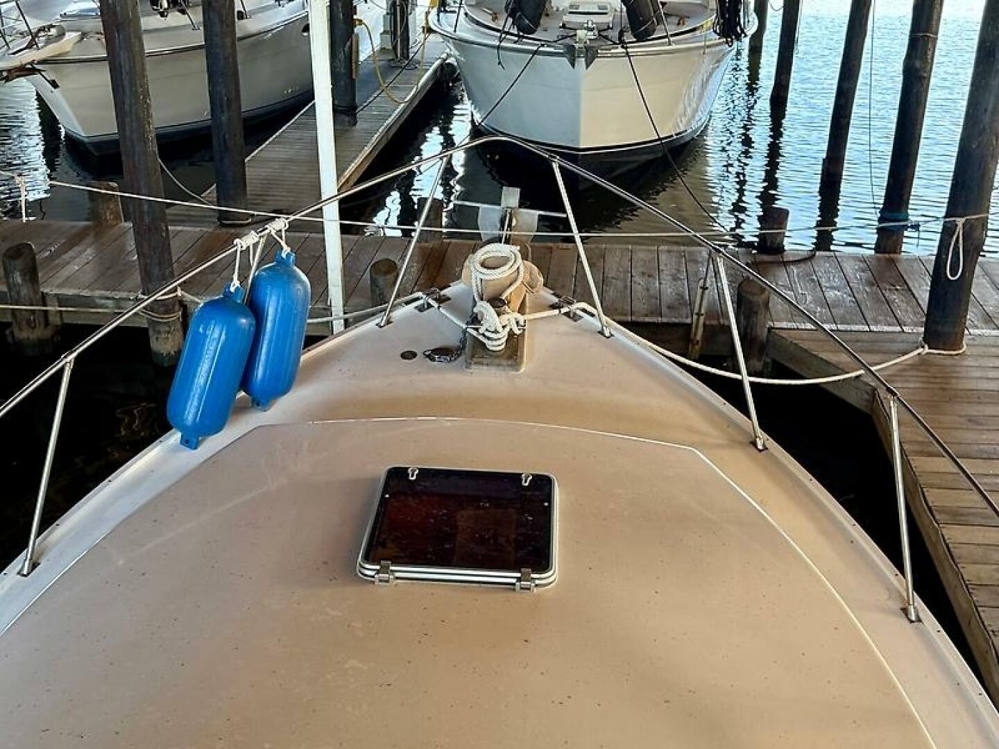0005315159