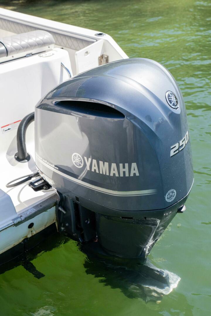 Vessel Image #50