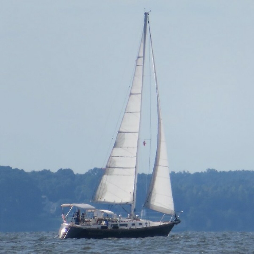 Vessel Image #3