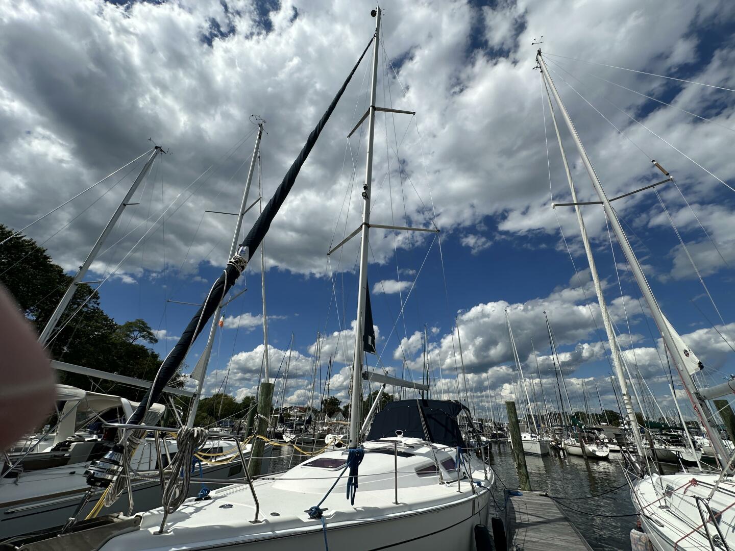 Vessel Image #4