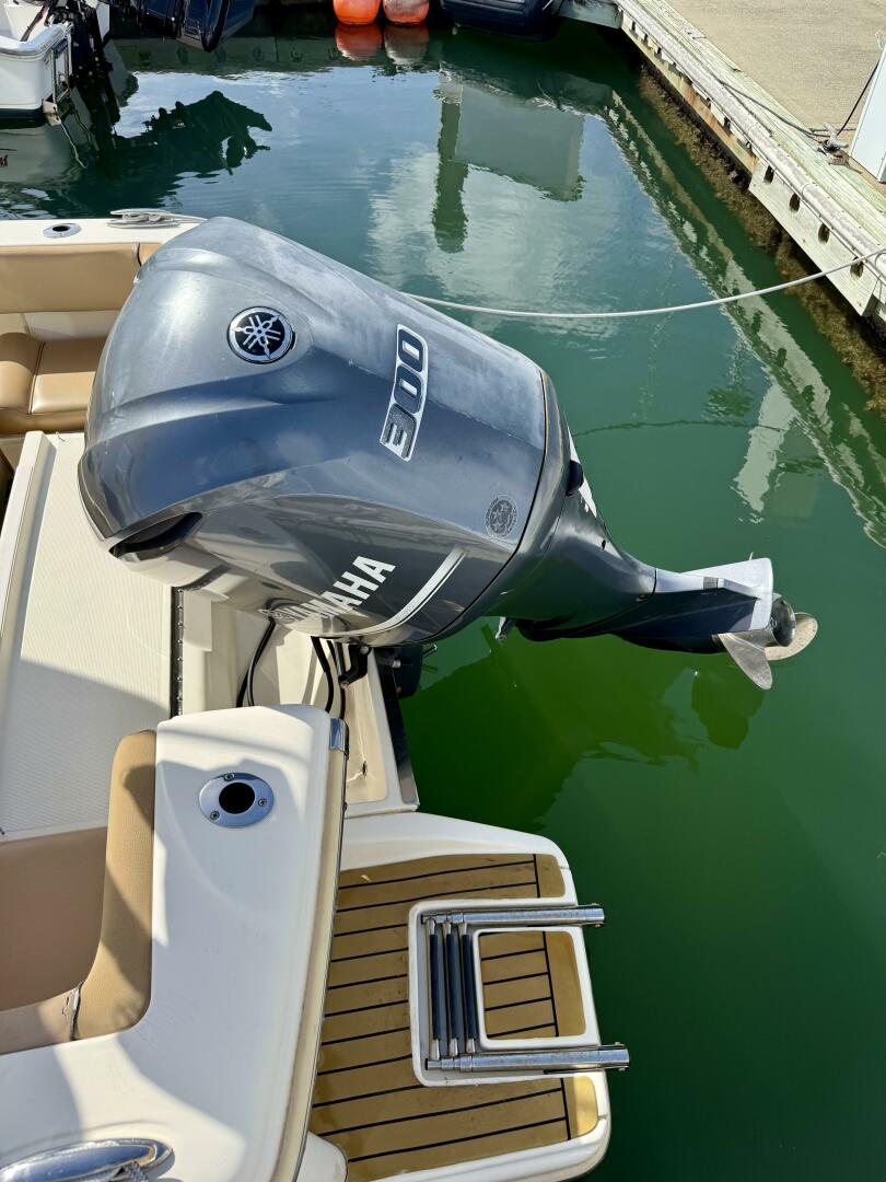 24ft Scout Yacht For Sale