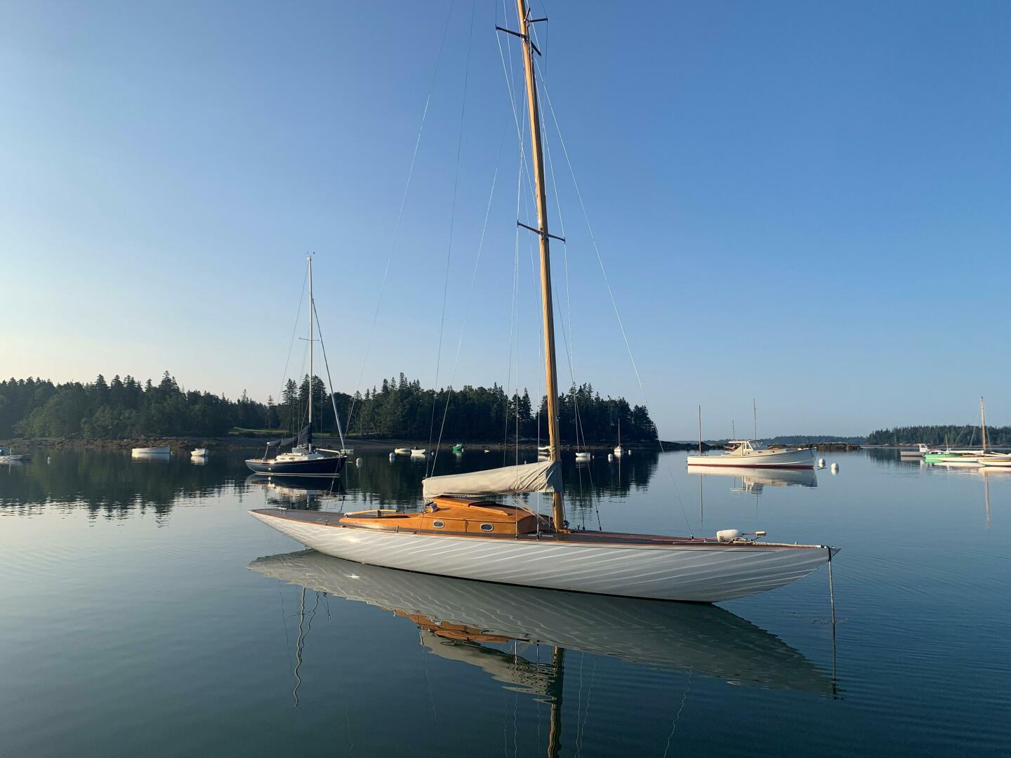 Vessel Image #4