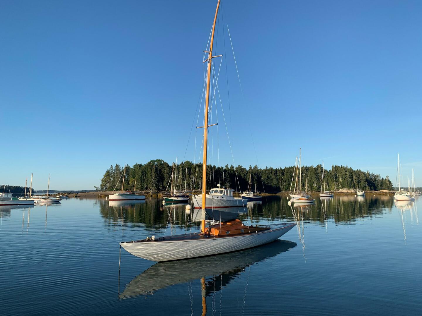 Vessel Image #16