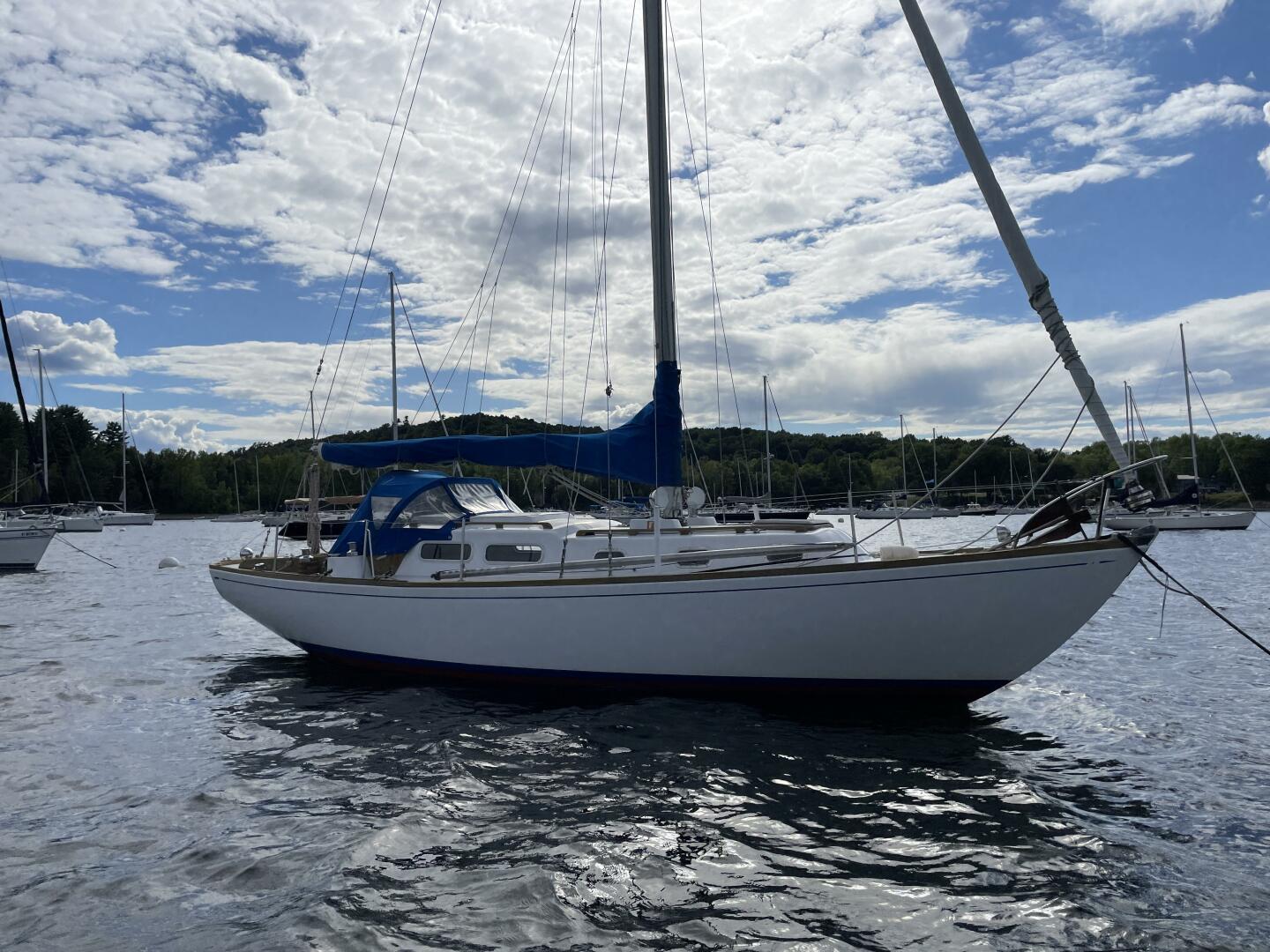 Vessel Image #6