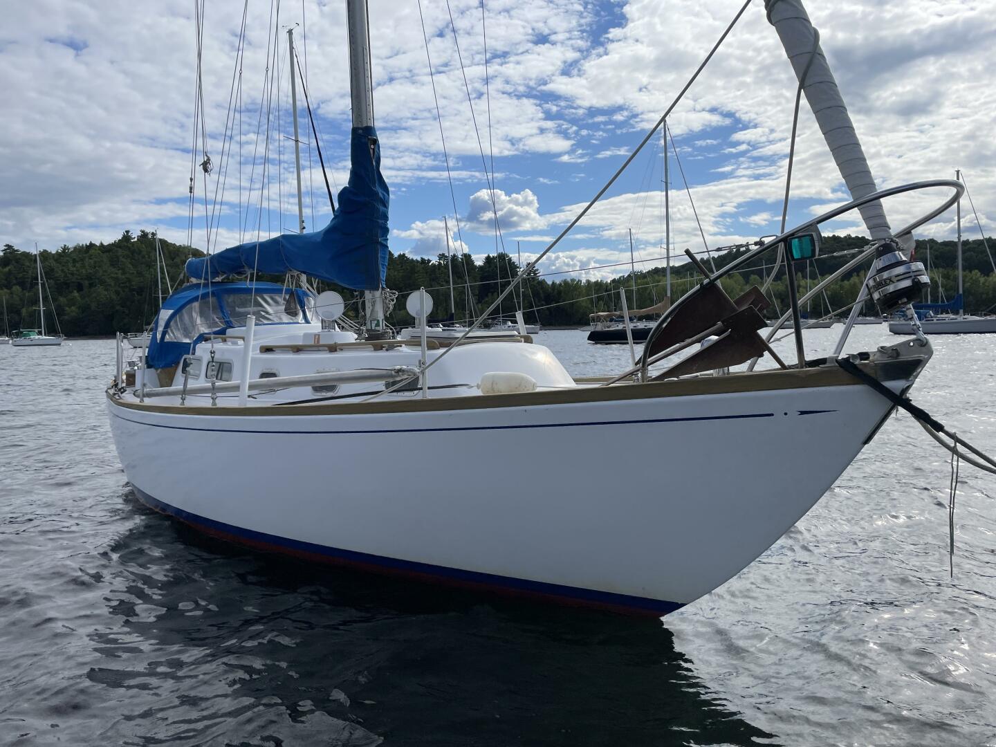 Vessel Image #7