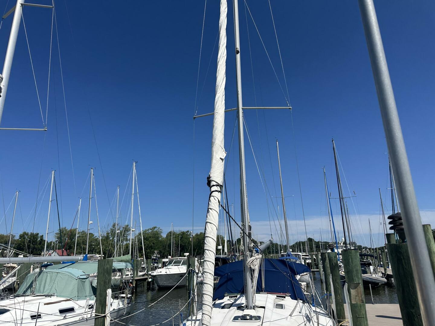 Vessel Image #8